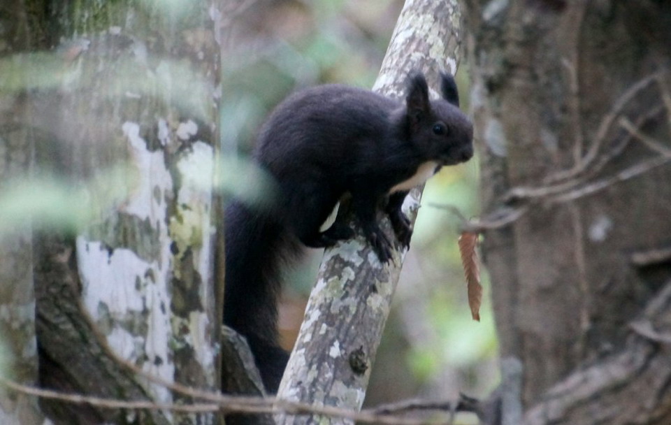  Varvara vodopadi blizu Olimpijade 